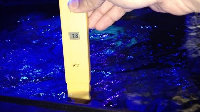 pH Air Aquarium